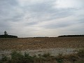 Indiana - corn fields.